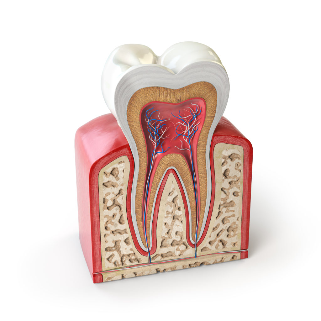 Eine Bewertung der Löslichkeit von vier endodontischen Versieglern in verschiedenen Lösungsmitteln