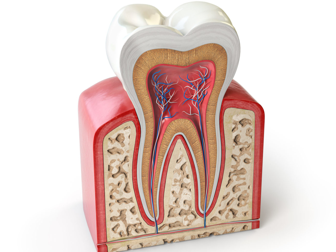An Evaluation of the Solubility of Four Endodontic Sealers