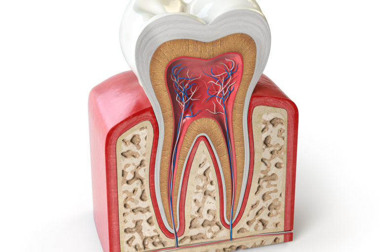 Évaluation de la solubilité de quatre ciments endodontiques dans différents solvants Évaluation de la solubilité de quatre ciments endodontiques dans différents solvants