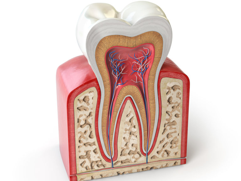 Eine Bewertung der Löslichkeit von vier endodontischen Versieglern in verschiedenen Lösungsmitteln