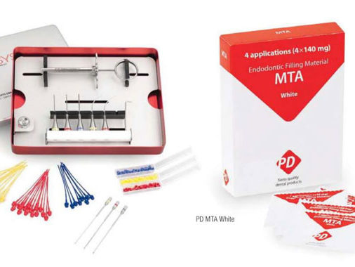 Micro Apical Placement System (MAPS) : a new instrument for retrograde root canal filling - Publications